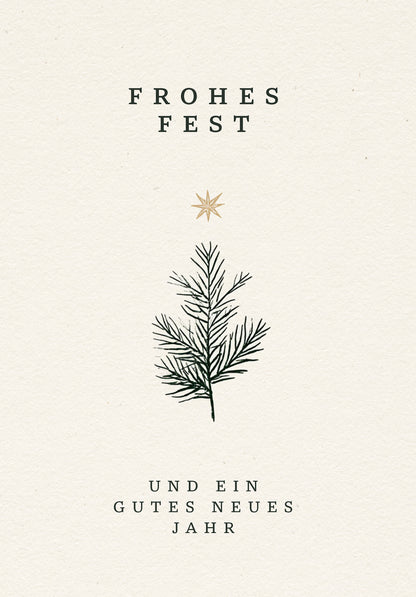 Frohes Fest und ein gutes neues Jahr - Zweig und Stern